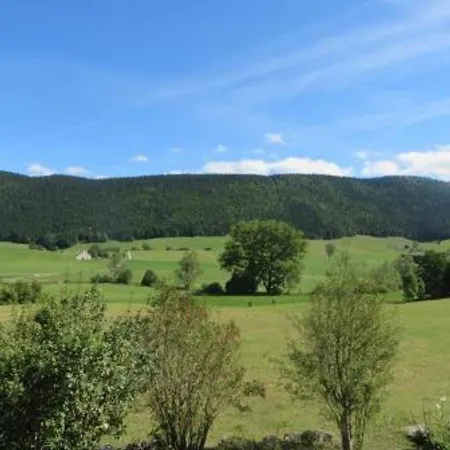 Renove Avec Balcon, Ideal Pour 4 Pers., A 1 Km Des Pistes De - Autrans-meaudre - Fr-1-737-6 *